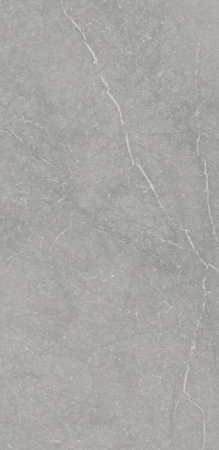 GRESIE - Gresie rectificata tip ciment, Munich Pearl Mate, 60X120 cm, gri, finisaj mat