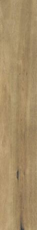 GRESIE - Gresie rectificata, tip lemn, Mattina Honey, 19.3x120.2 cm, maro, finisaj mat