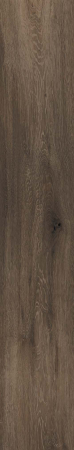 GRESIE - Gresie tip lemn, Willow Dark Brown 6214, 120x20 cm, maro, finisaj mat