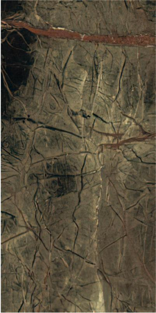 GRESIE INTERIOR - Gresie tip marmura, Rain Forest Rec, 60x120 cm, 55016859RN, rectificata, verde, finisaj lucios, 2.17mp/cut