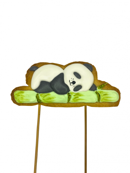 Urs panda somnoros [2]