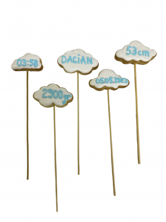 Biscuiti personalizati - Norisori personalizati cu datele bebelusului