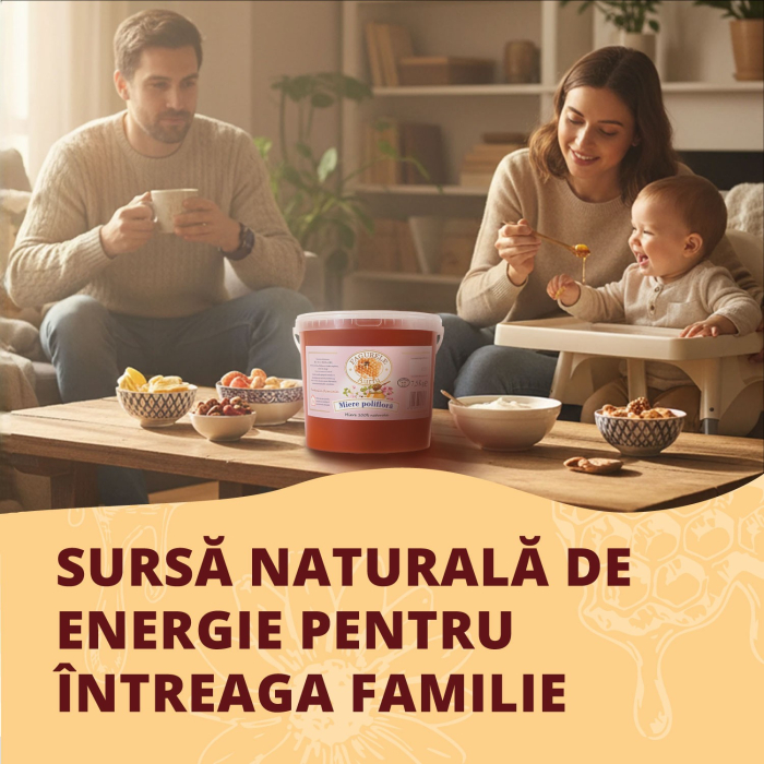 Miere poliflora Fagurele Auriu 7.5 kg [2]
