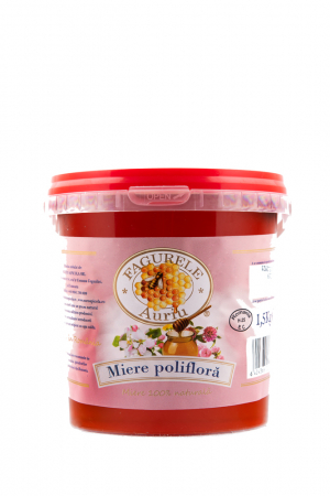 Miere Vrac - Miere poliflora Fagurele Auriu 1,5 kg