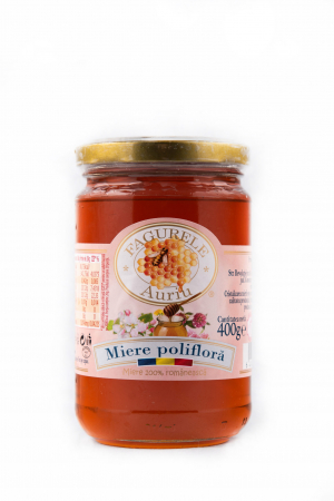 Miere 400g - Miere poliflora Fagurele Auriu 400g
