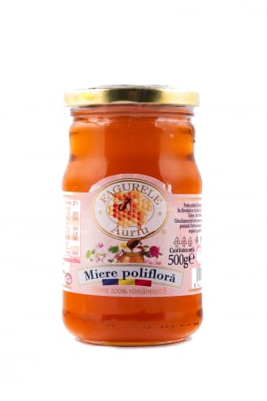 Magazin - Miere poliflora Fagurele Auriu 500g