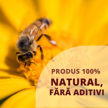 Miere poliflora Fagurele Auriu 7.5 kg [5]
