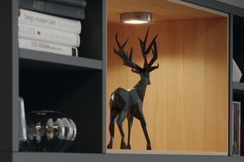 Inel pentru spot 2047, finisaj inox, pentru montare aplicata. [2]