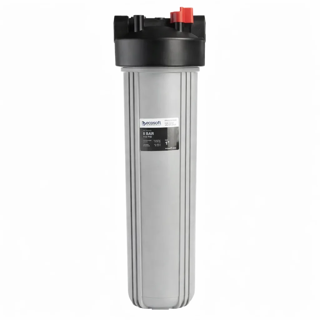 Filtru Big Blue 20"-ECO-20 microni [2]