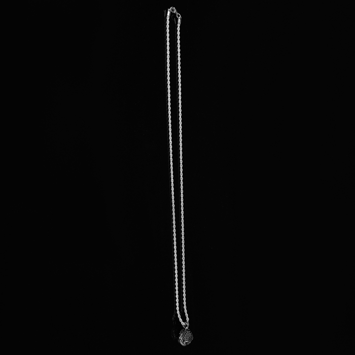 Lant Brooks Men Skull Plein Zircon [3]
