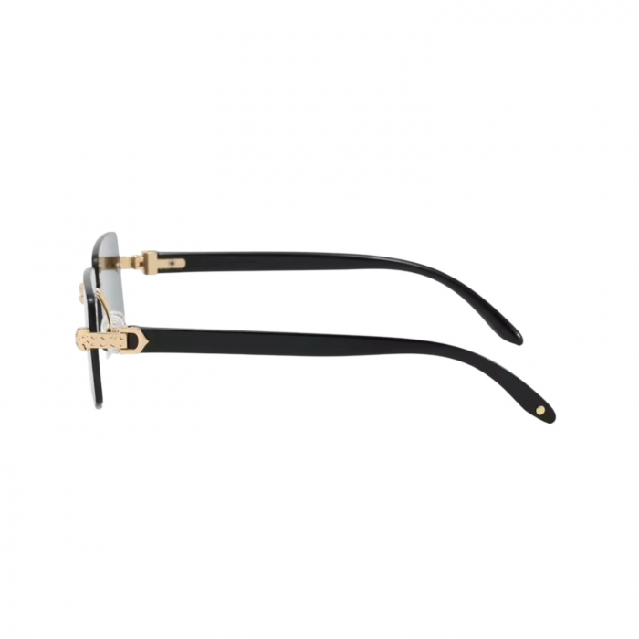 Ochelari Brooks Black Gatopardo [3]