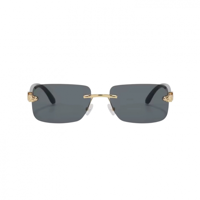 Ochelari Brooks Black Gatopardo [2]