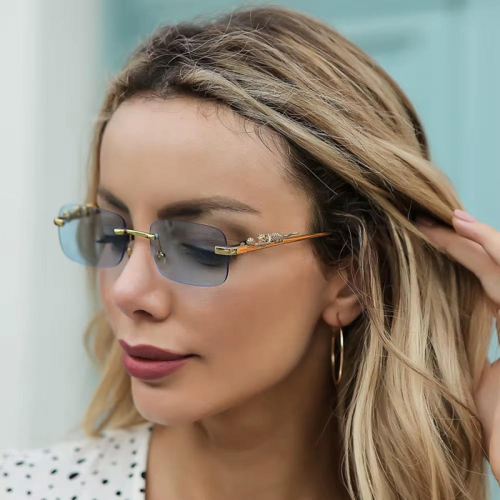 Ochelari Brooks Blue Gatopardo Eva [3]
