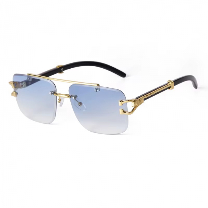 Ochelari Brooks Blue Ocean Gatopardo [1]
