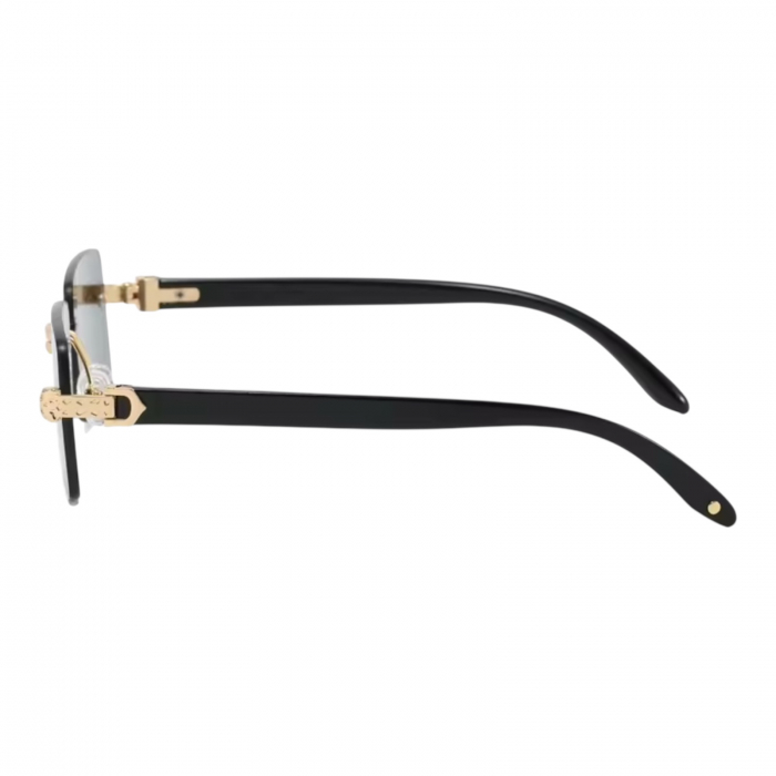 Ochelari Brooks Gatopardo Classic [2]