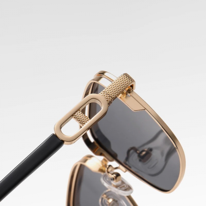 Ochelari Brooks GoldBlack Luxury Elixir [6]