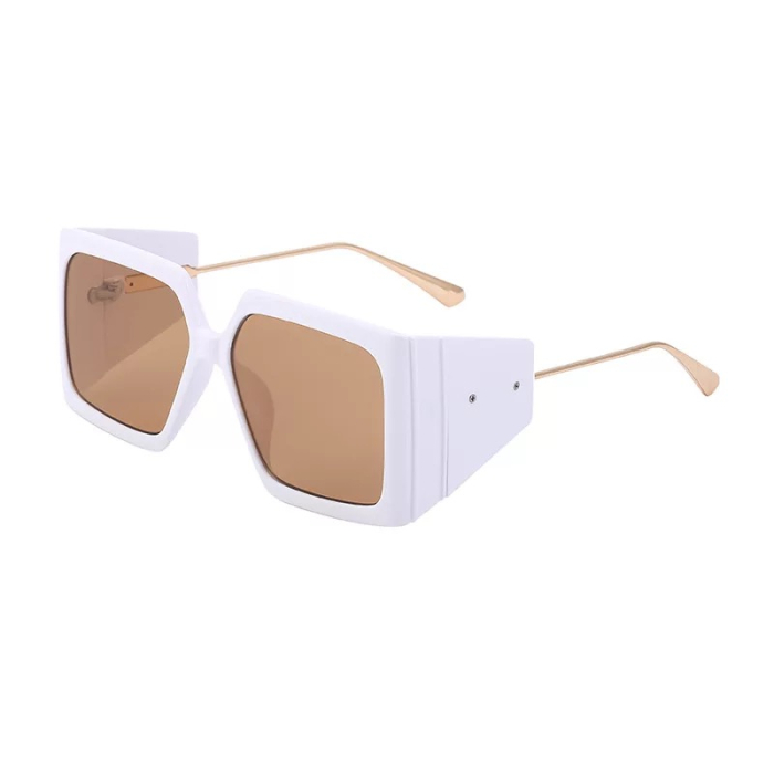 Ochelari Brooks Summer Design Pasha [2]