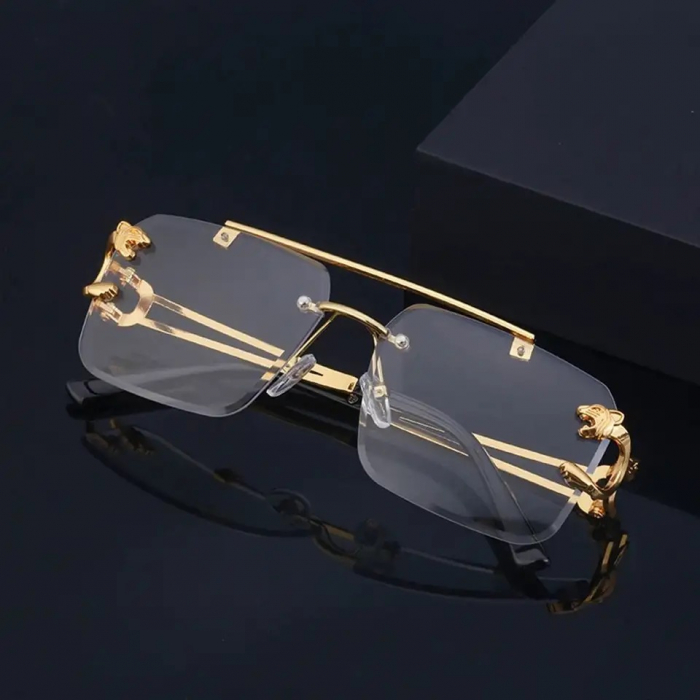 Ochelari Brooks Transparent Lens Gatopardo [2]