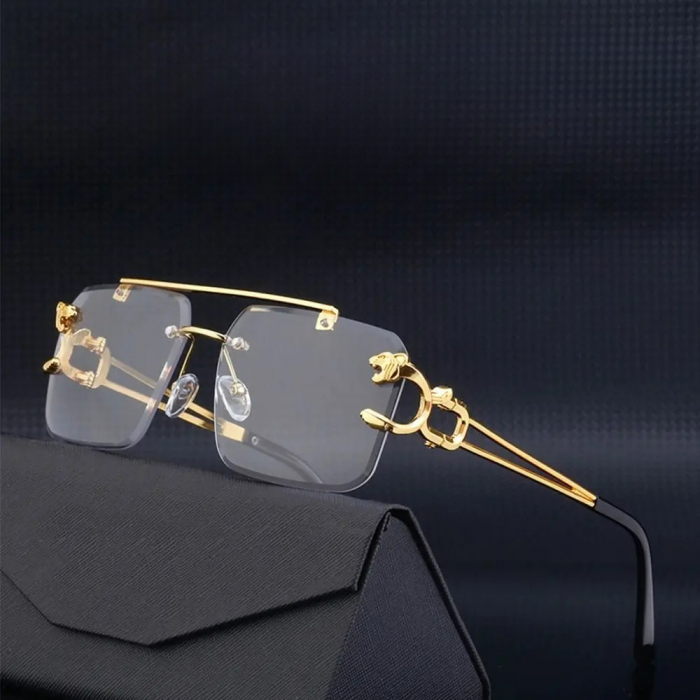 Ochelari Brooks Transparent Lens Gatopardo [3]