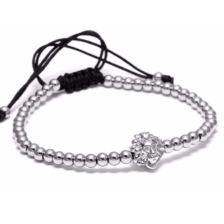 PROMOTII - Brooks Silver King Lion SILVER
