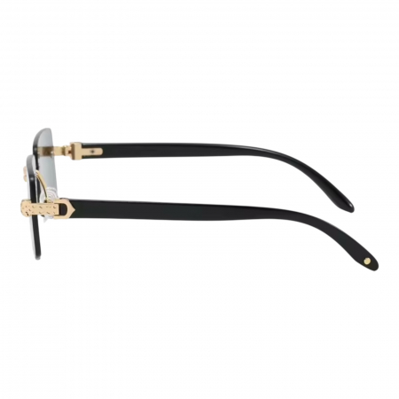 Ochelari Brooks Gatopardo Classic [1]