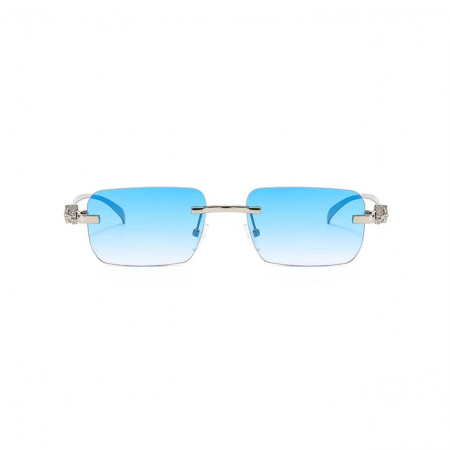 Ochelari Brooks Silver Blue Gatopardo Extravaganza [1]
