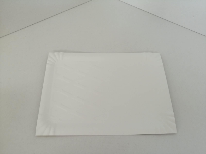 Tavite albe cu  model 23 x 16 100/set [3]