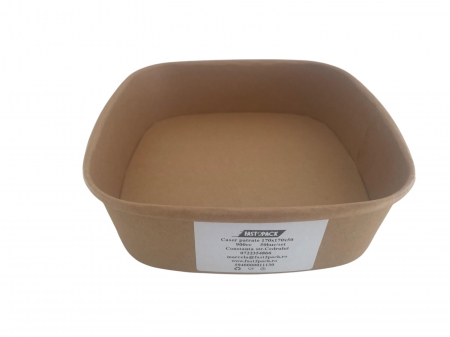 Cutii meniu patrate carton K 170x170x50 900cc 50buc/set [1]