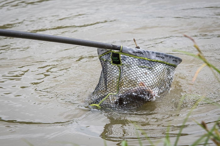 Cap de Minciog Matrix Carp Landing Net [3]