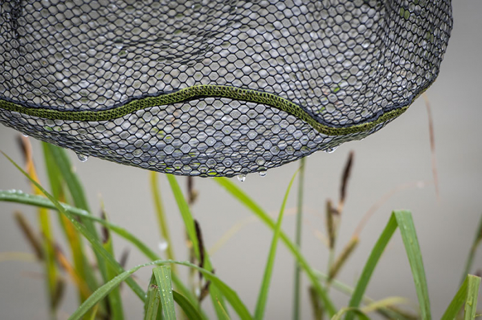 Cap de Minciog Matrix Carp Rubber Landing Net [4]