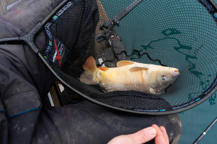 Cap de Minciog Preston Carp XS Landing Net [8]