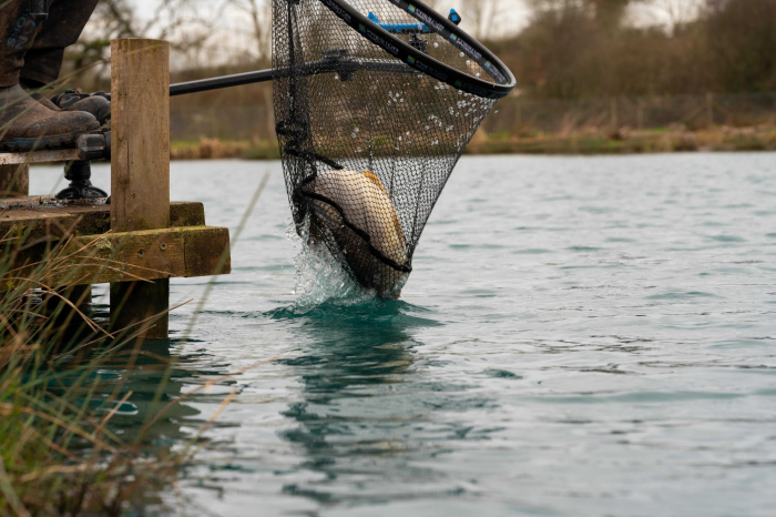 Cap de Minciog Preston Carp XS Landing Net [6]
