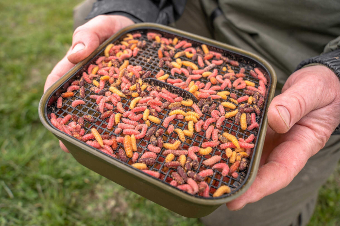 Cutie Momeala cu Sita Korum Maggot Tub 2Pt [3]