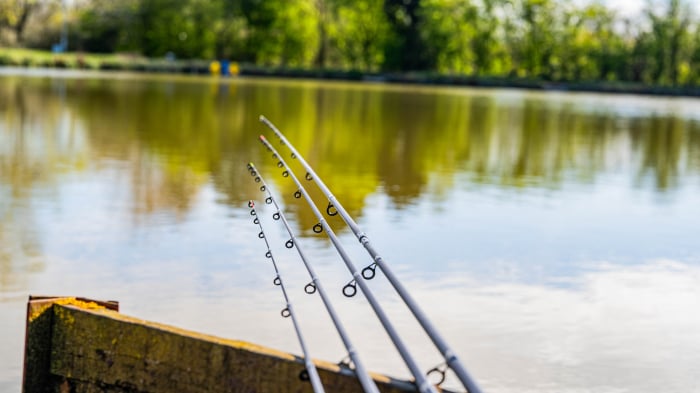 Lanseta Preston Dura Carp Feeder 3.00m 40g [9]