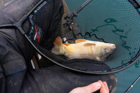 Cap de Minciog Preston Carp XS Landing Net [7]