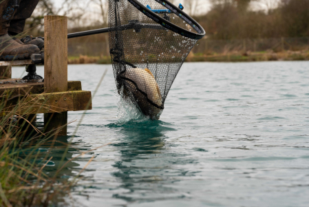 Cap de Minciog Preston Carp XS Landing Net [5]
