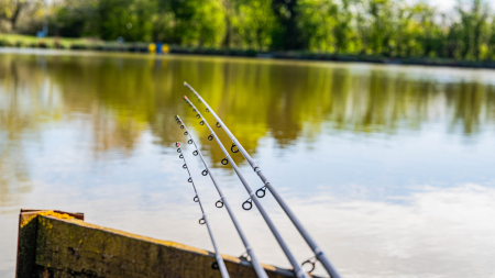 Lanseta Preston Dura Carp Feeder 2.75m 30g [4]