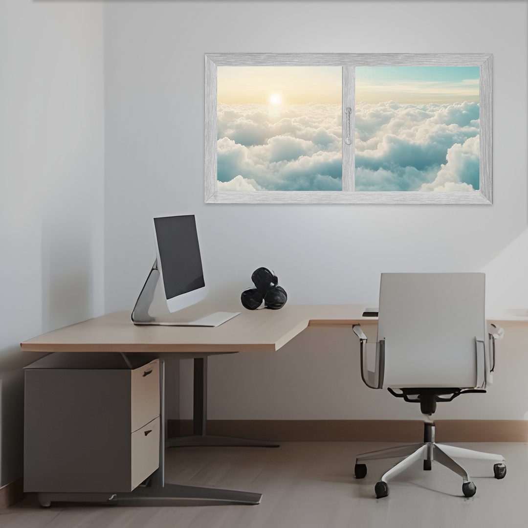 Fereastra pentru BIROU, SALA CONFERINTE [2]