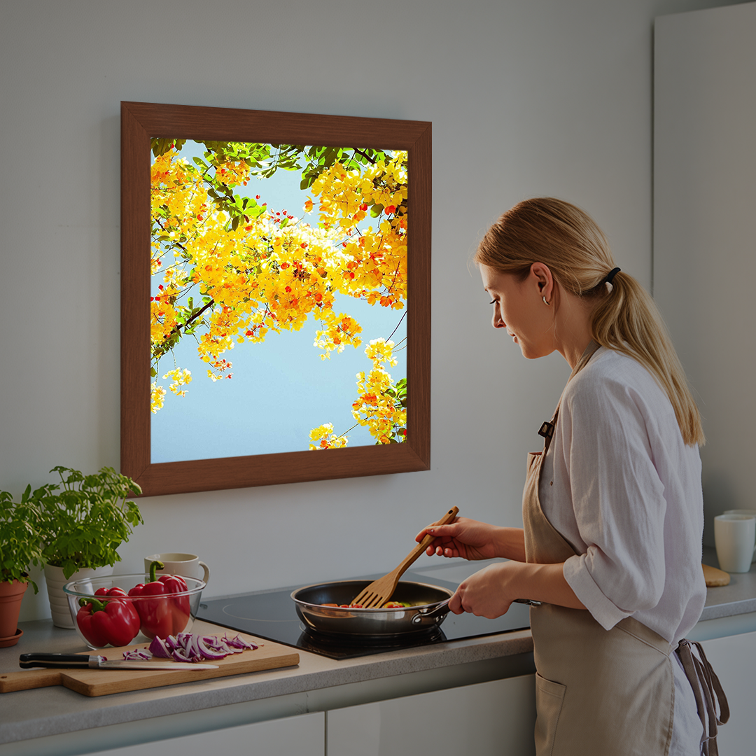 Fereastra pentru BUCATARIE [6]