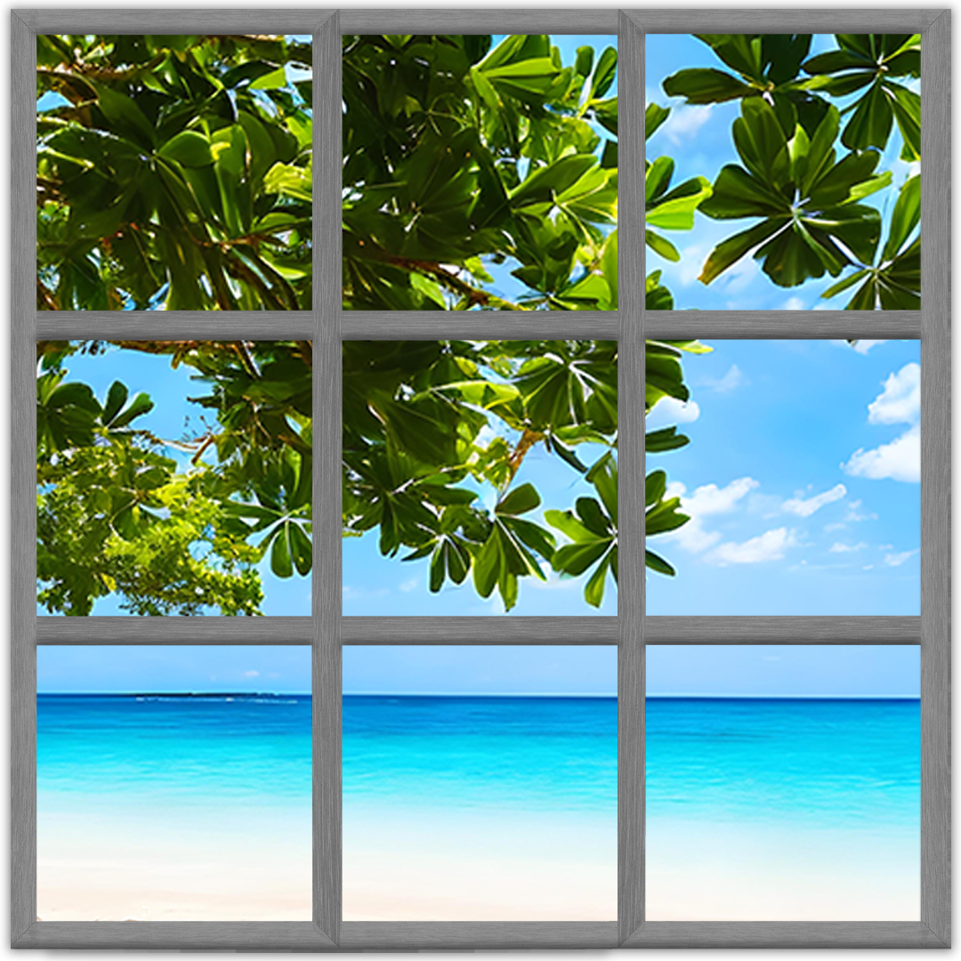 Fereastra pentru RECEPTIE, SALA ASTEPTARE [2]