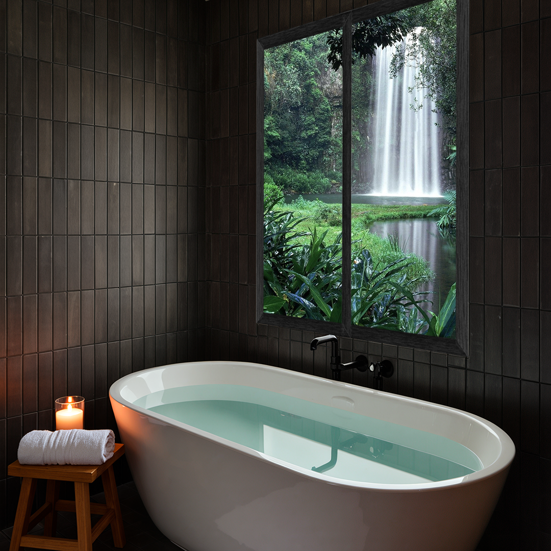 Fereastra pentru BAIE [5]