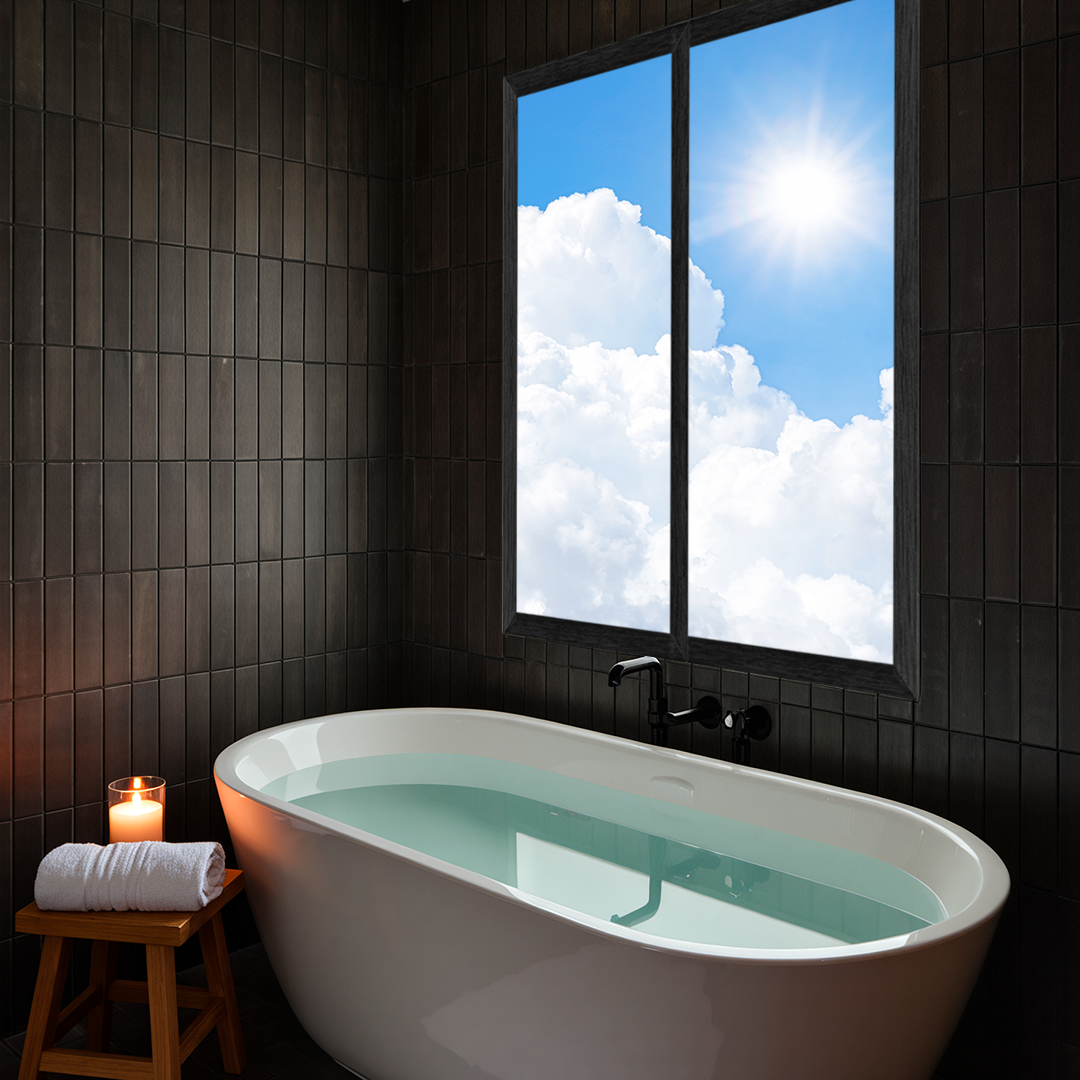 Fereastra pentru BAIE [3]