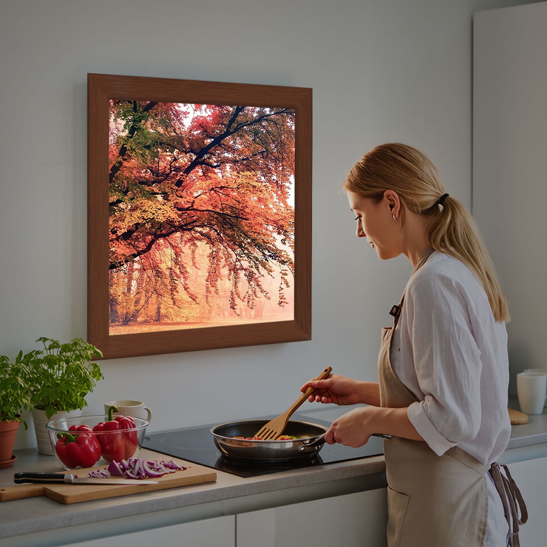 Fereastra pentru BUCATARIE [11]