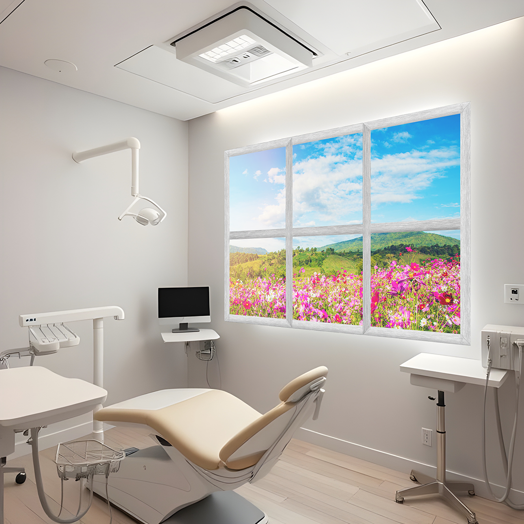 Fereastra pentru CABINET, CLINICA, SPITAL [2]