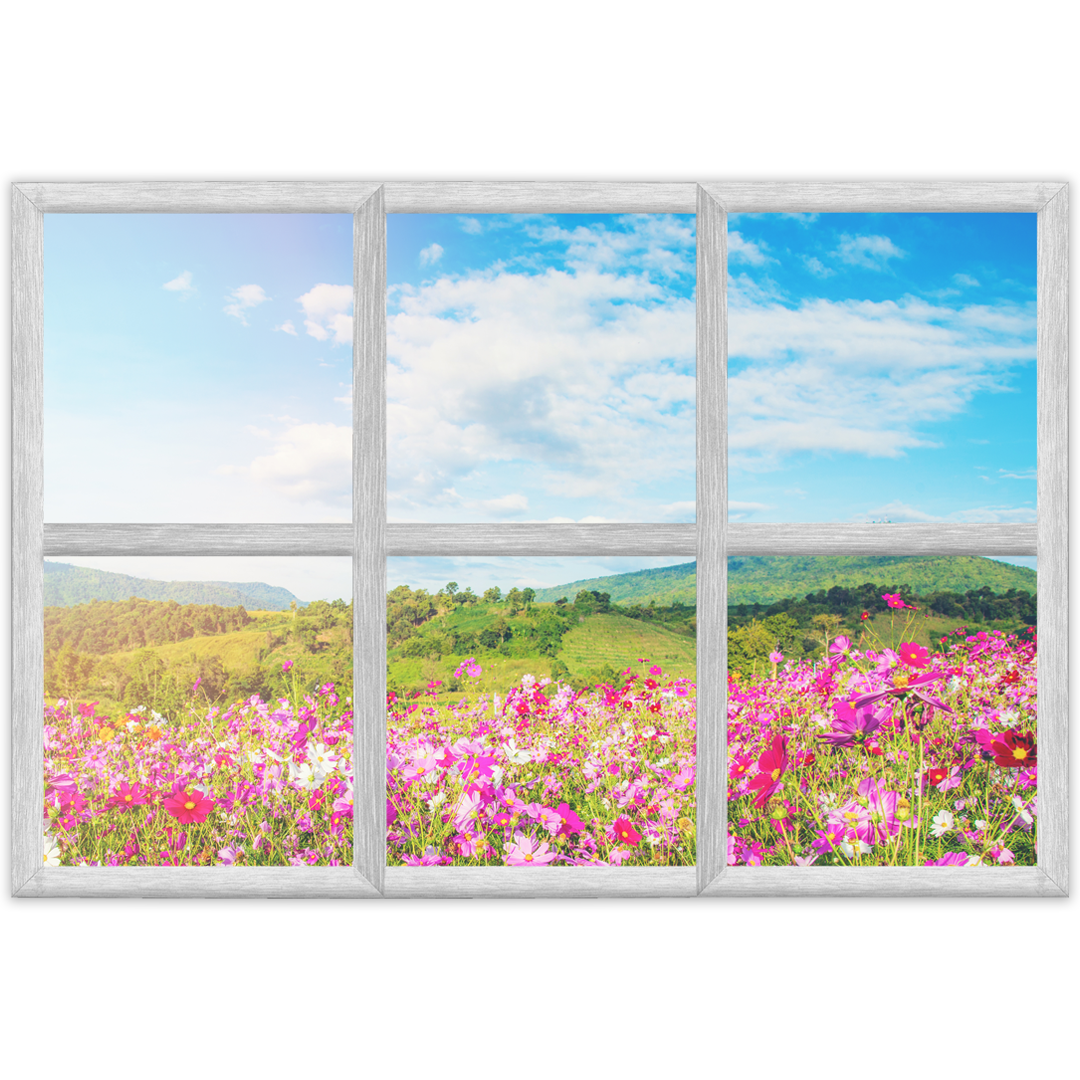 Fereastra pentru CABINET, CLINICA, SPITAL [3]