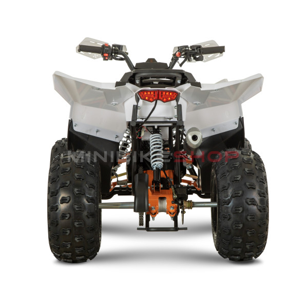 Atv 140cc Mini Rocket Panther 8" semi-automat 4T benzina viteze 3+1 verde [3]
