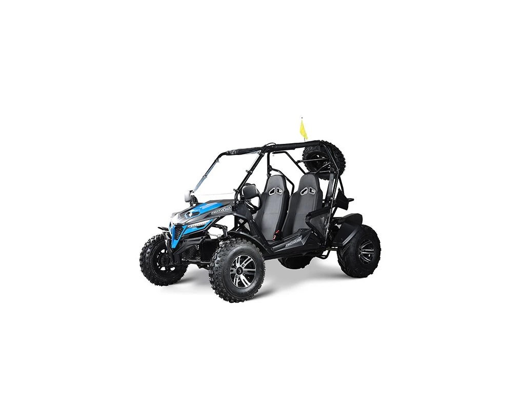 Buggy MiniRocket Cheetah 200X benzina 4T pornire la buton, marsalier 220cm3 - Copie [7]