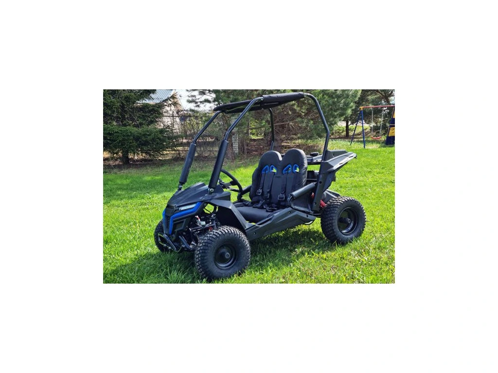 Buggy MiniRocket Cheetah Mini 200cc  4T benzina [3]