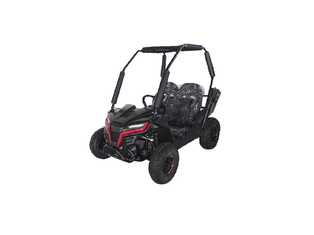 Buggy MiniRocket Cheetah Mini 200cc  4T benzina [1]