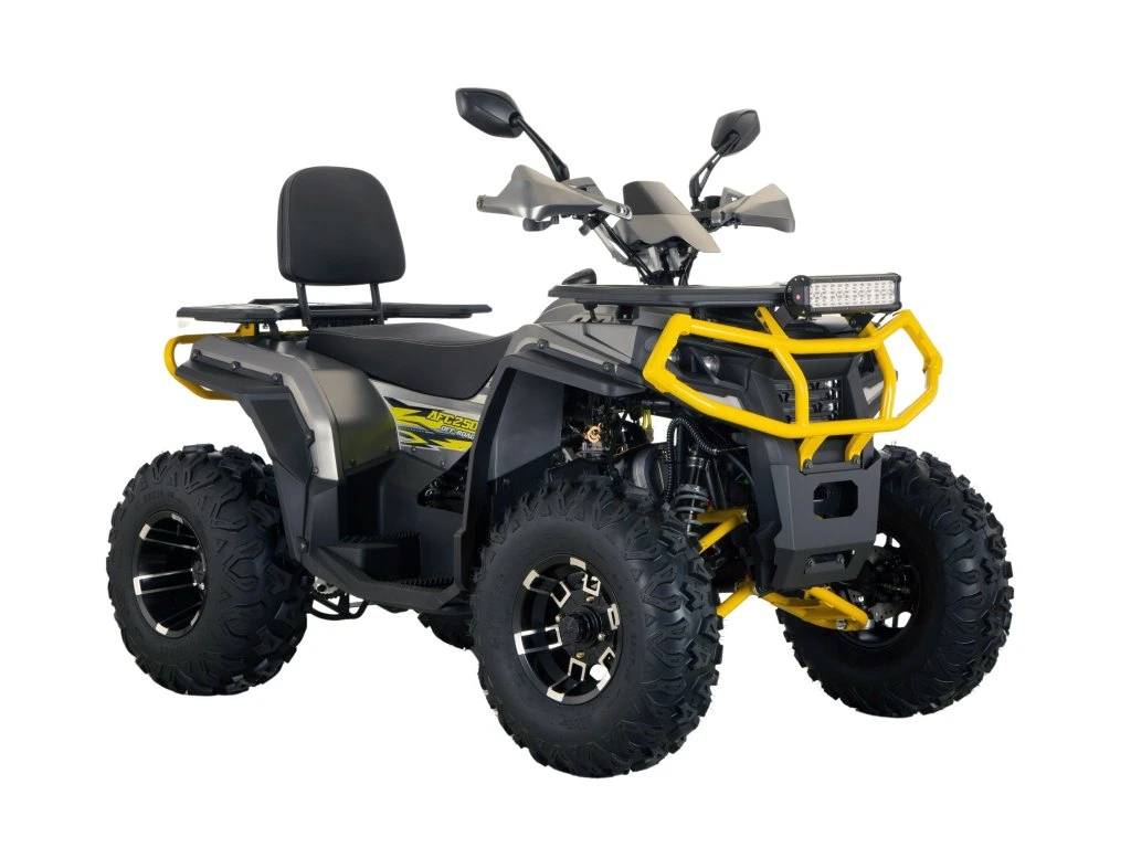 ATV MiniRocket AFC250 cm3 roti 10" pornire la buton. [4]